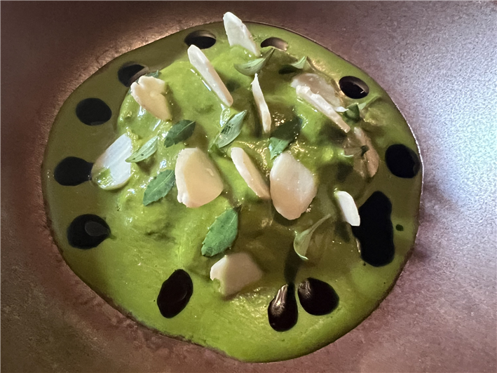scallop and salsa verde